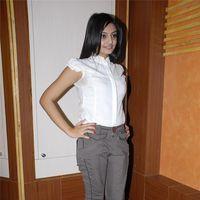Nikita Narayan at It's My Love Story Movie Preemeet - Pictures | Picture 116288